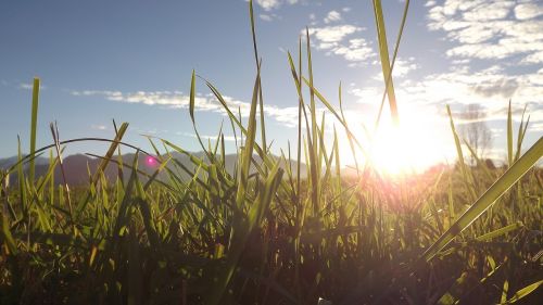 nature lying sun landscape