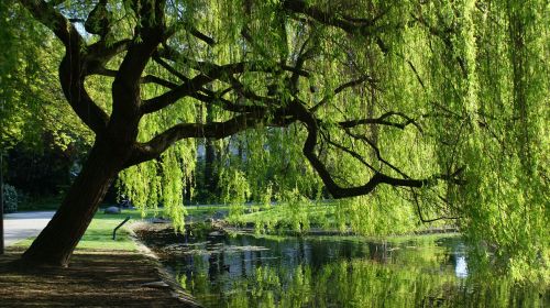 nature park landscape