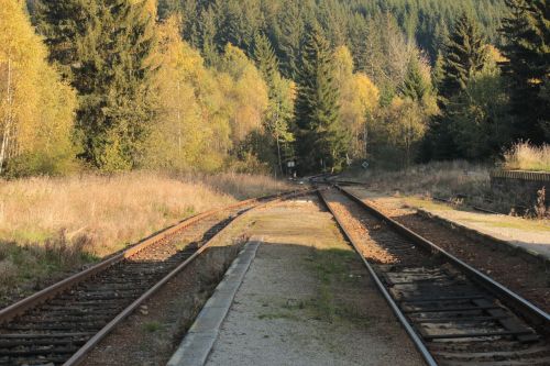 nature track summer