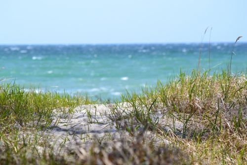 nature beach sea