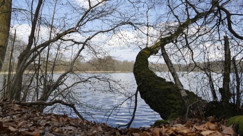 nature water lake