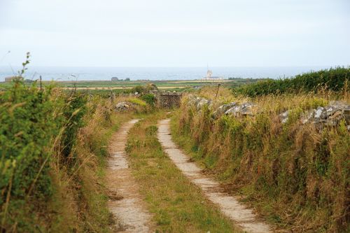 nature path landscape