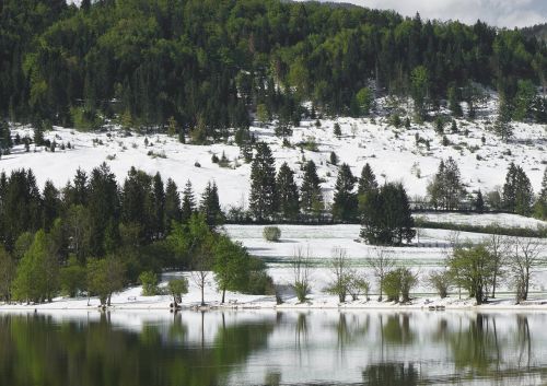 nature lake spring