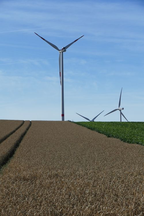 nature vision wind turbines