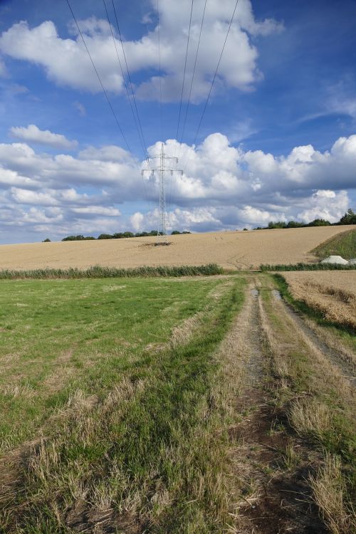 nature vision power lines