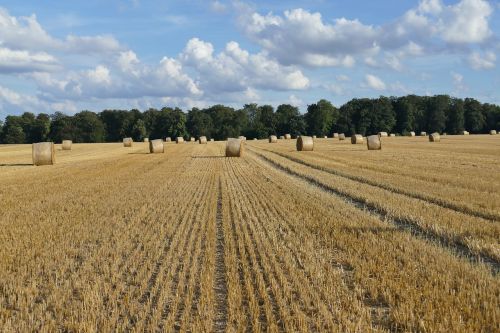 nature hay bales arable