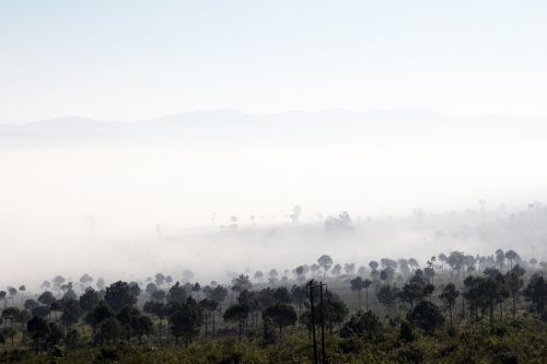 nature landscape fog