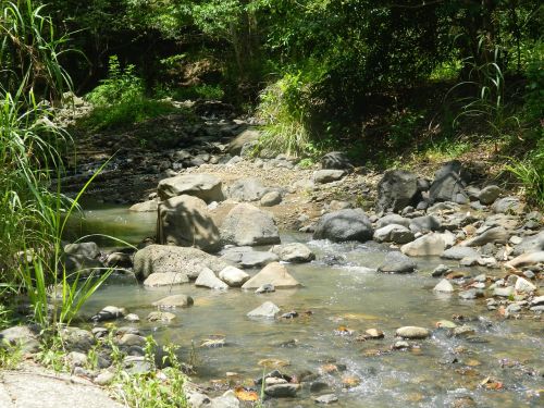 nature river pebbles