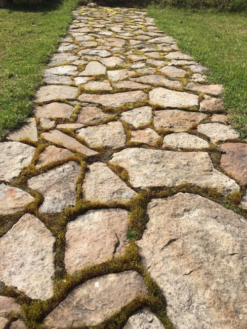 nature the stones the path