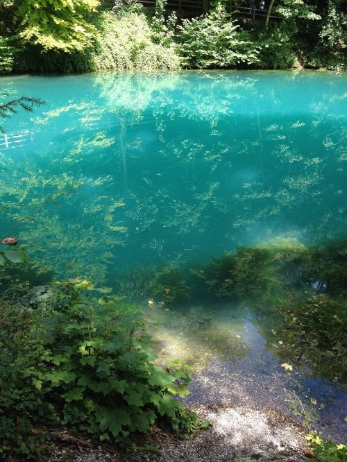 nature blautopf water