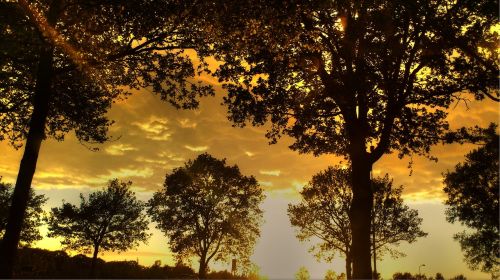 nature sunset yellow sky