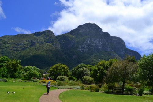 cape town south africa botanical