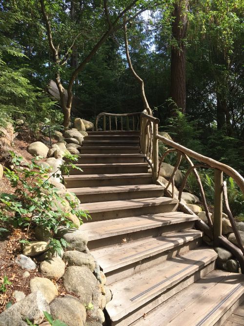 nature stairs wilderness