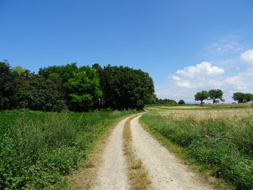 nature landscape away