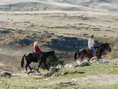 nature mountains horses