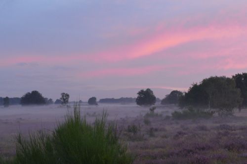 nature landscape morning mist