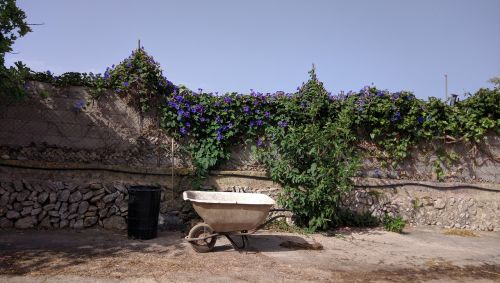 nature rural landscape