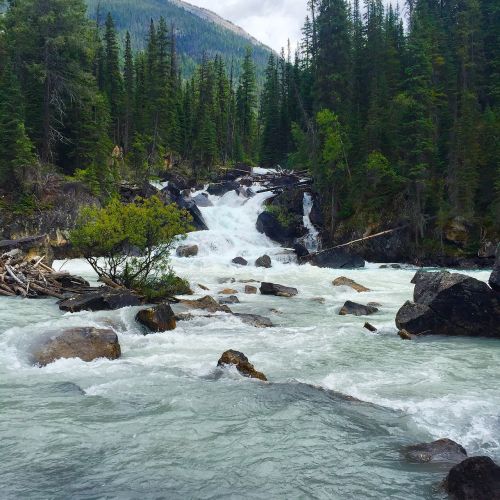 nature river wilderness