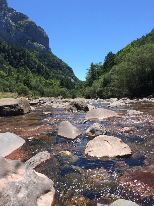 nature path water