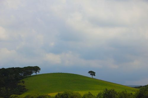 nature alone freedom