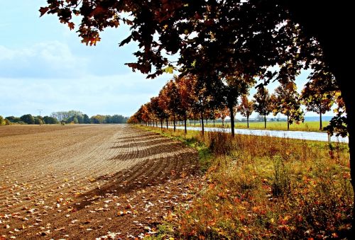 nature autumn landscape germany