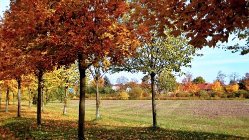 nature autumn landscape germany