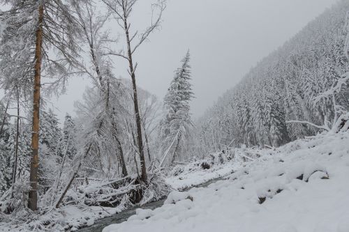 nature mountains landscape