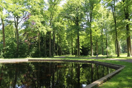 nature forest spring