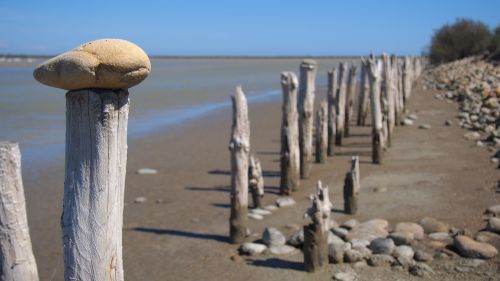 nature camargue landscapes