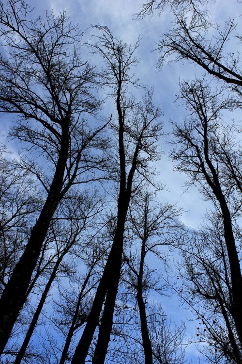 nature blue sky