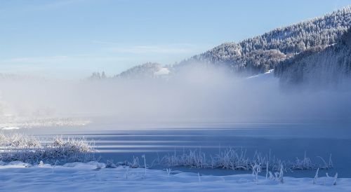 nature landscape snow