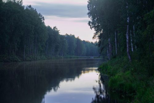 nature landscape summer