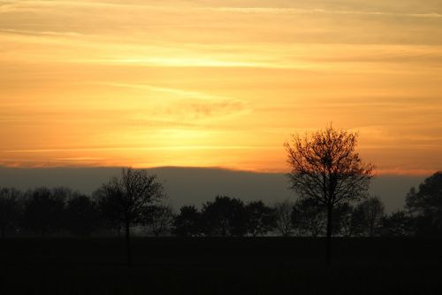 nature sun sky