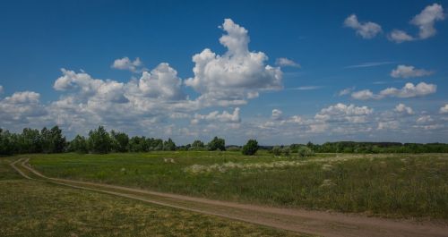 nature horizon peyzad