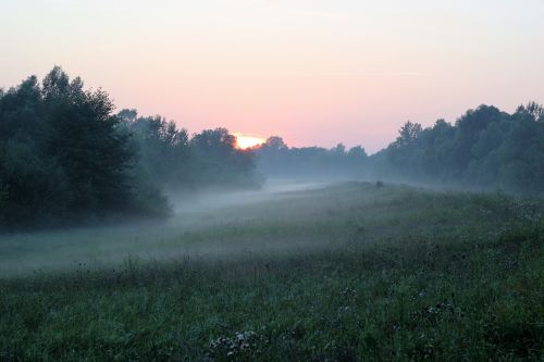 nature foggy sunrise