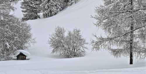 nature landscape snow