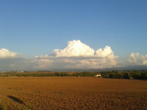 nature field landscape