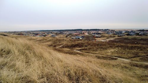 nature grass sand