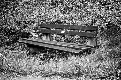 nature germany park bench