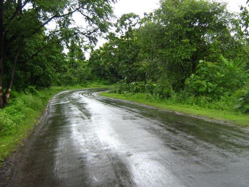 nature road rural