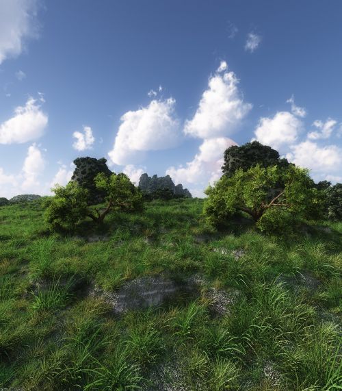 nature landscape cloud