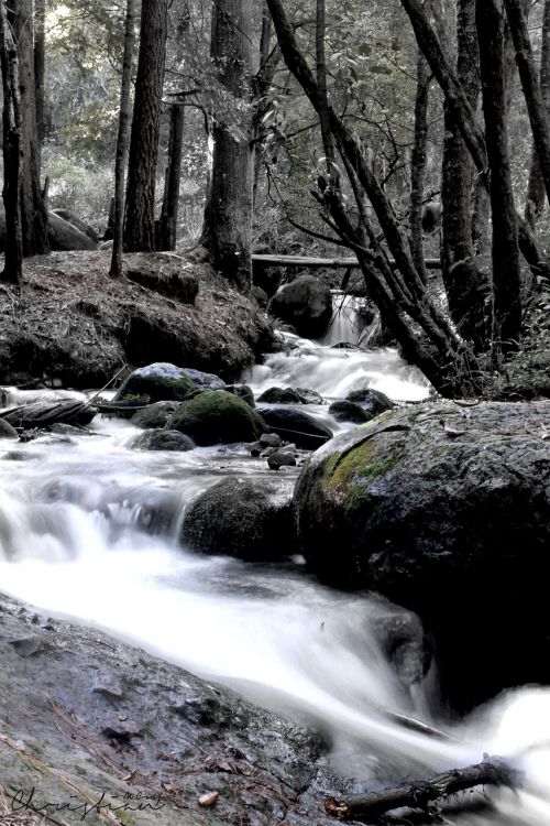 nature water waterfall