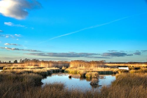 nature river outdoors