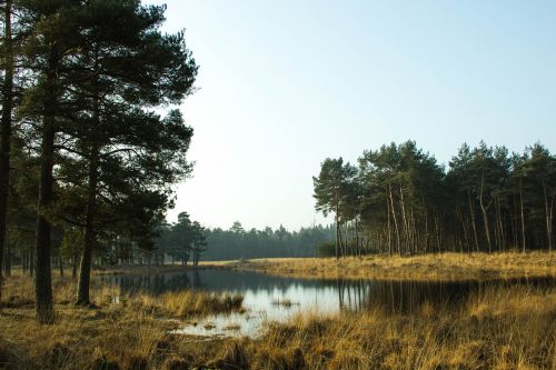 nature scenery landscape