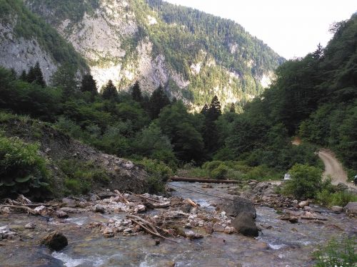 nature abkhazia beauty