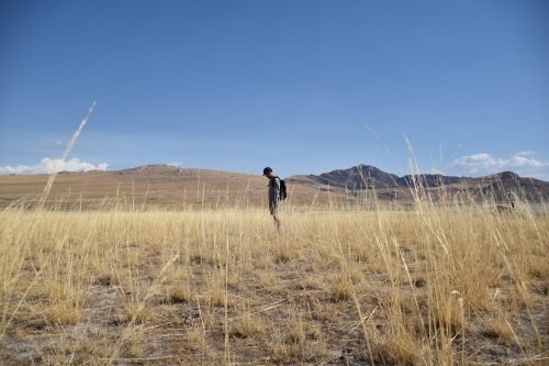 nature alone national park