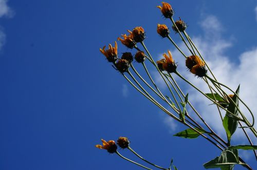 nature sky blue