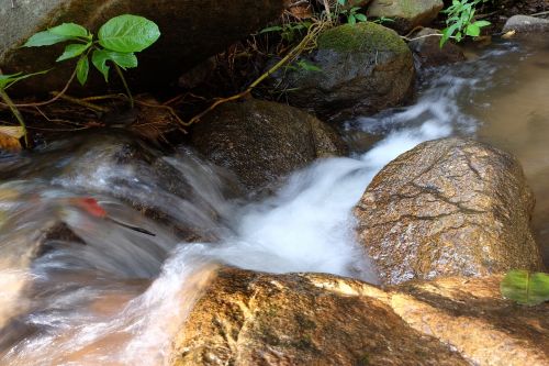 nature thailand waterfall