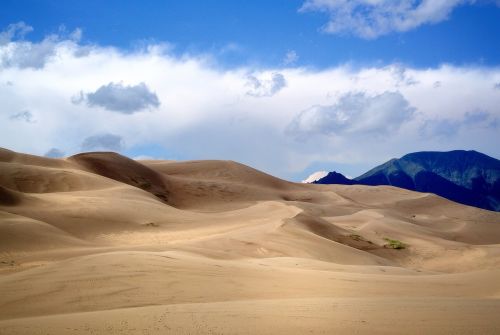 nature desert landscape