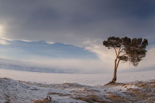 nature winter sky